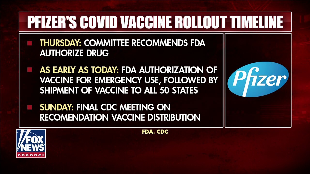 FDA panel endorses Pfizer coronavirus vaccine