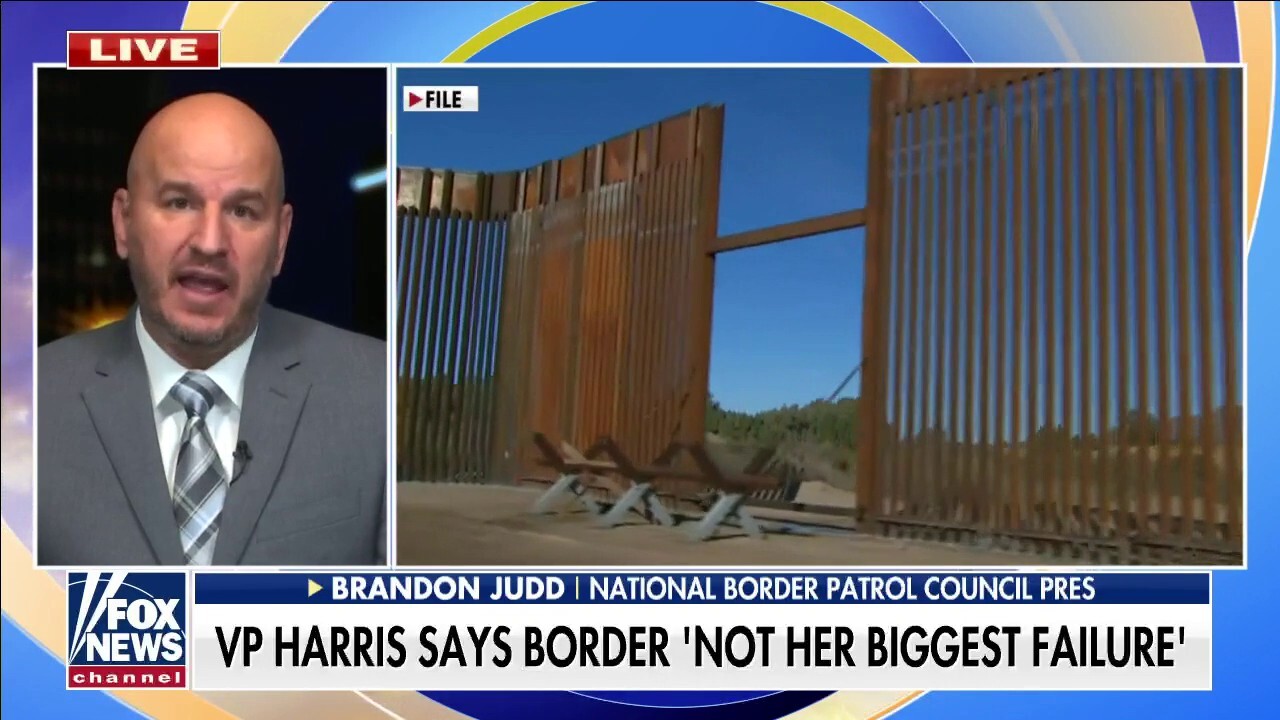 Brandon Judd rips Kamala Harris for 'deflection' on border crisis: 'They're going to have to change their policies'