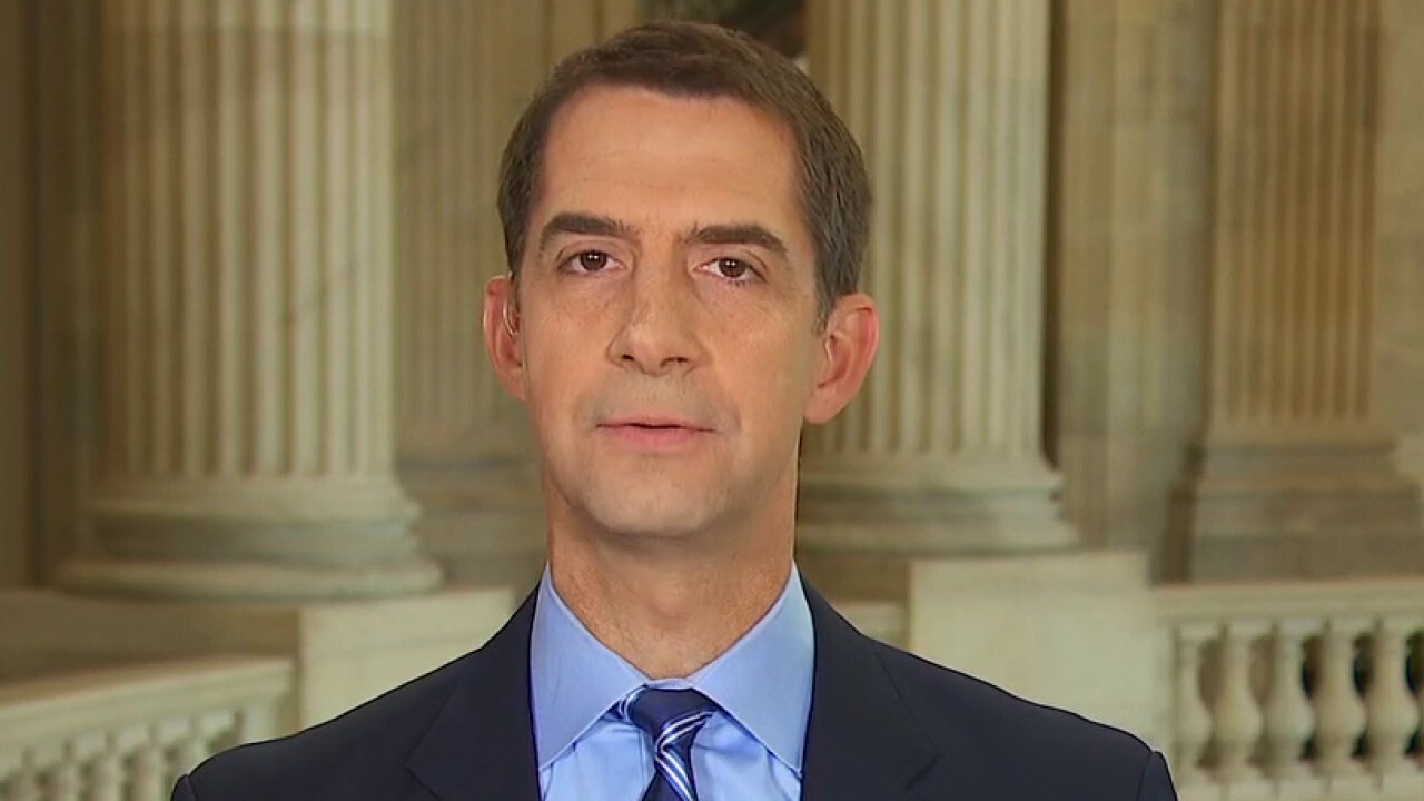 Sen. Tom Cotton on push to block China from benefiting from COVID-19 aid bill