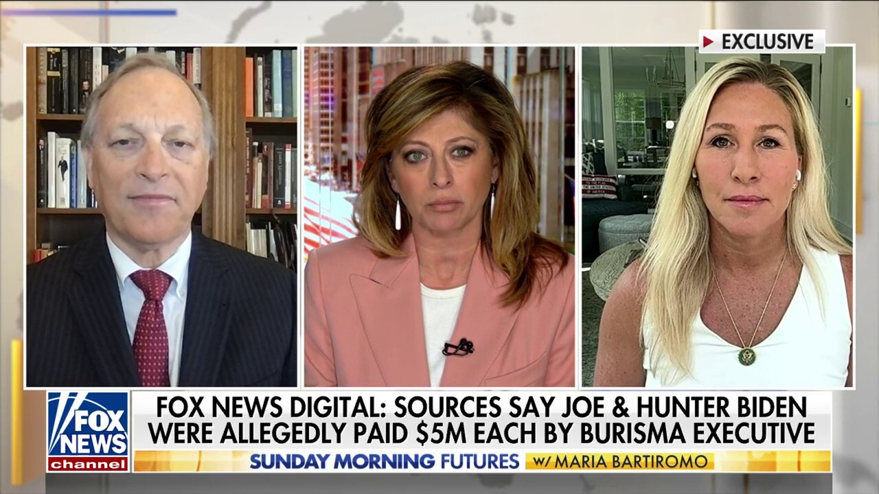 Joe, Hunter Biden reportedly received $5 million each from energy executive: Fox News Digital