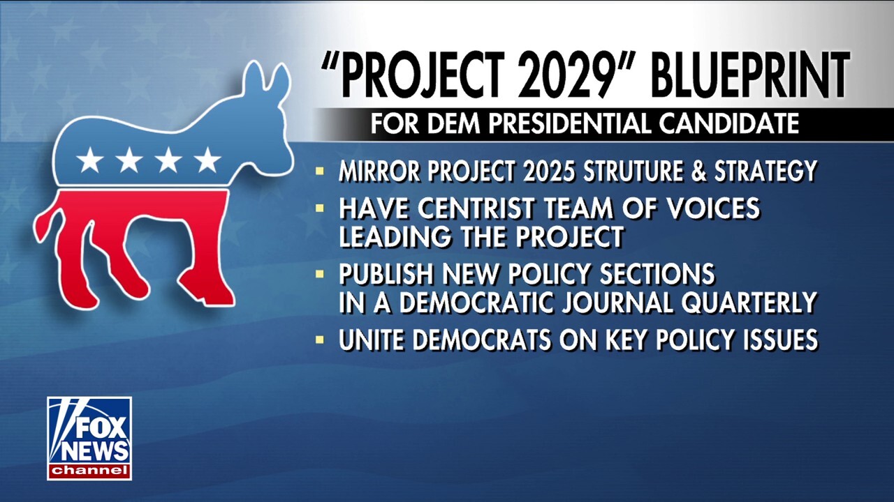 Democrats launch 'Project 2029' as party attempts to garner support