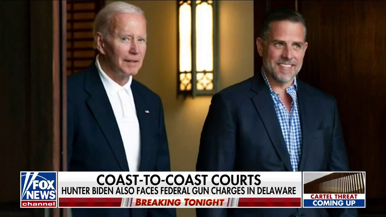  Hunter Biden's attorneys push judge to dismiss tax charges against him