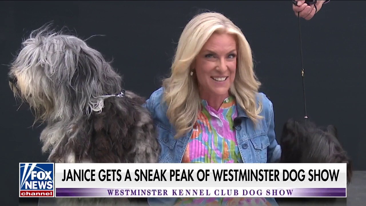 Westminster Kennel Club kicks off their 146th dog show