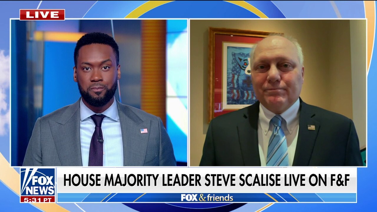 Biden allowed a ‘complete abuse’ of the asylum process: Rep. Steve Scalise