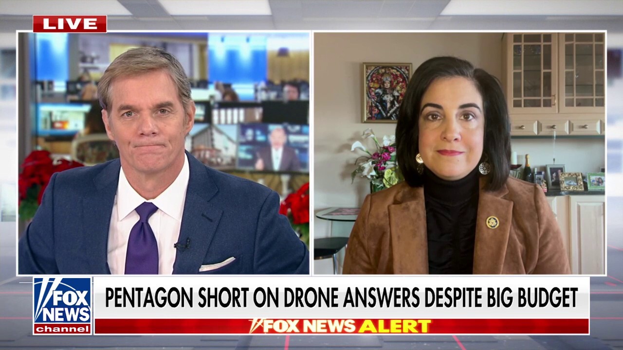 Rep. Malliotakis says government ‘knows’ what's behind NJ drone sightings