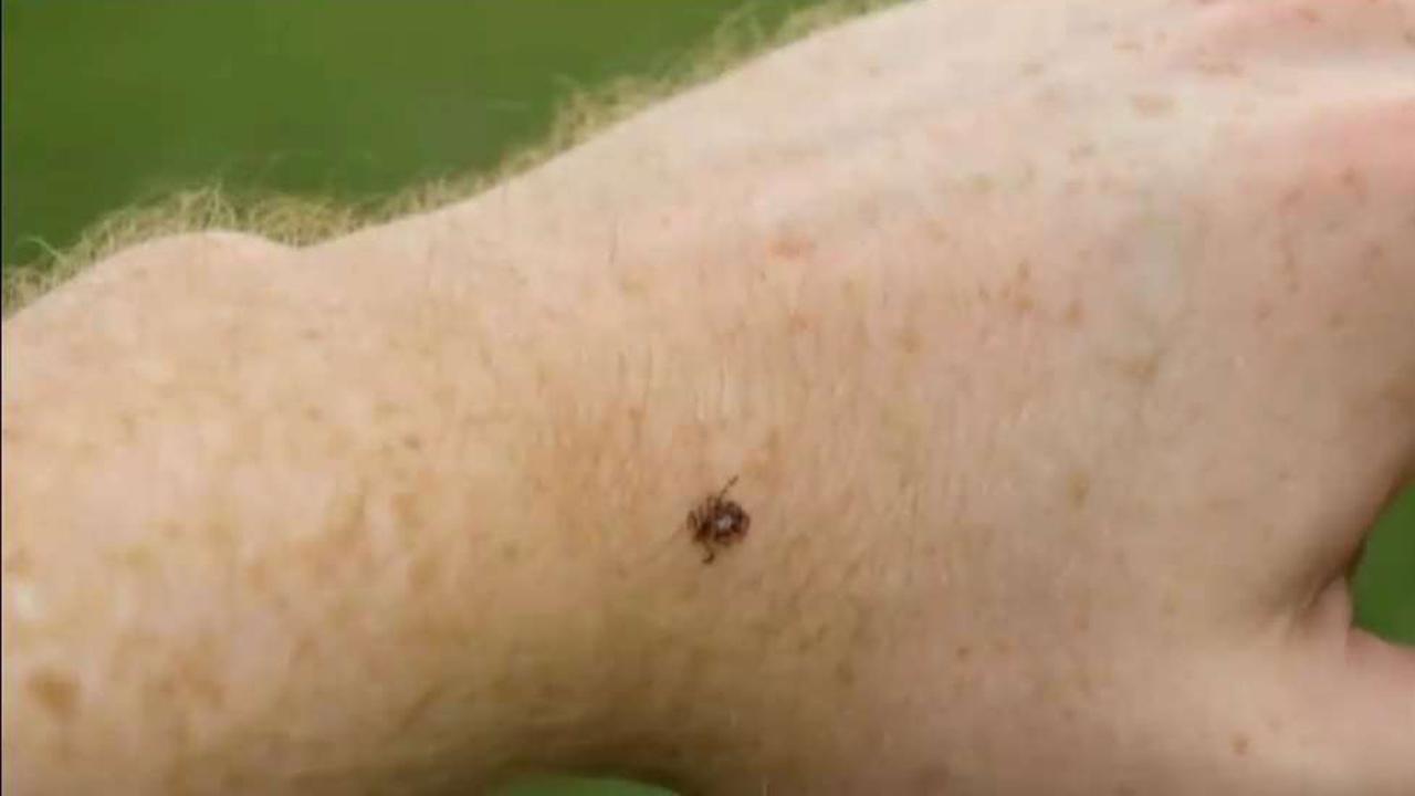 Did the Pentagon's weaponization of ticks lead to the spread of Lyme disease?