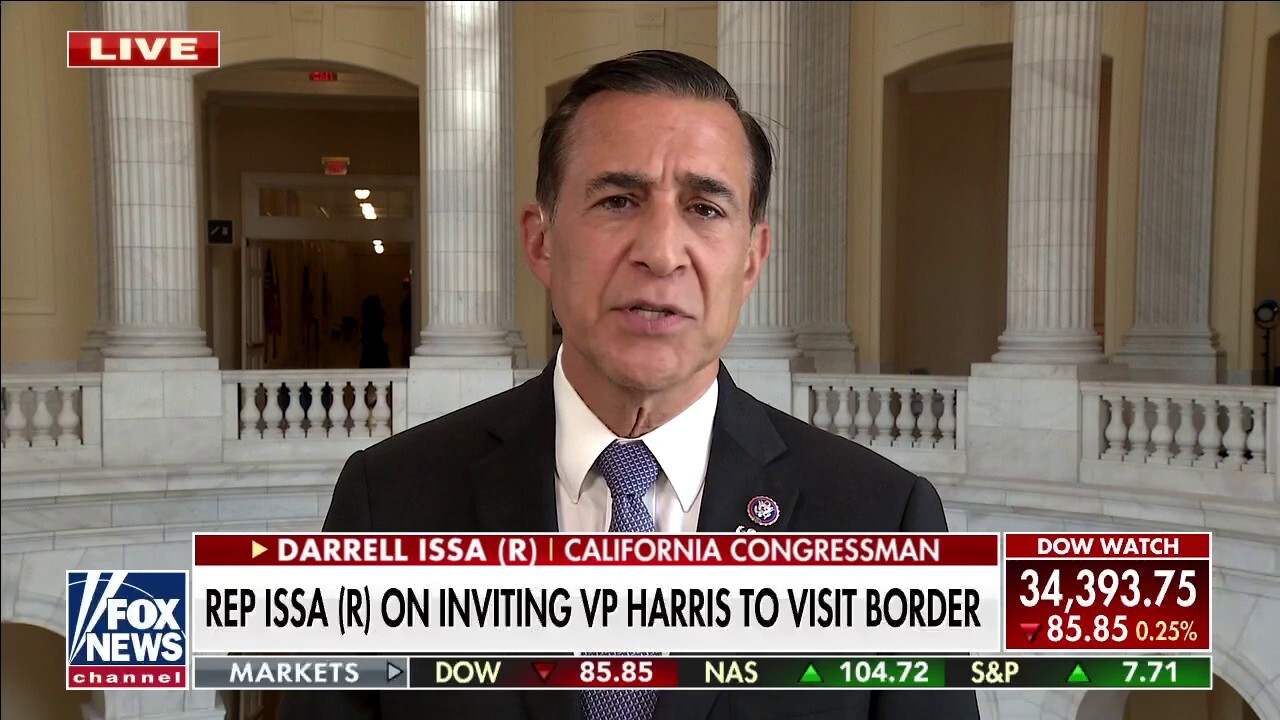 Rep. Darrell Issa says Harris failing in border czar duties