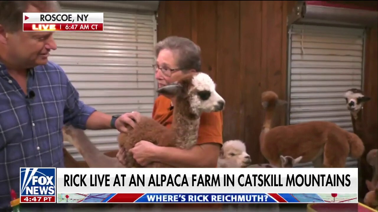 Rick Reichmuth bottle feeds a baby alpaca