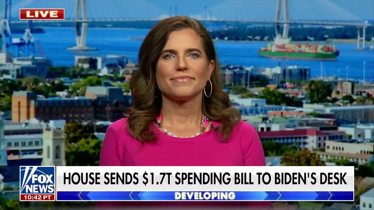 Omnibus bill ‘pours gasoline’ on the inflation fire: Rep. Nancy Mace