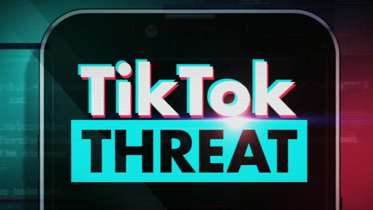 TikTok congressional hearing: Fallout from CEO testimony as US mulls ban