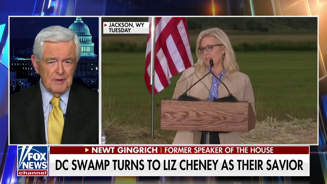 Mainstream media will love Cheney, but the country won't: Newt Gingrich