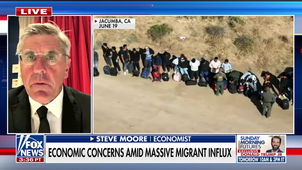 Trump will clean up the border quickly if he wins in November: Steve Moore