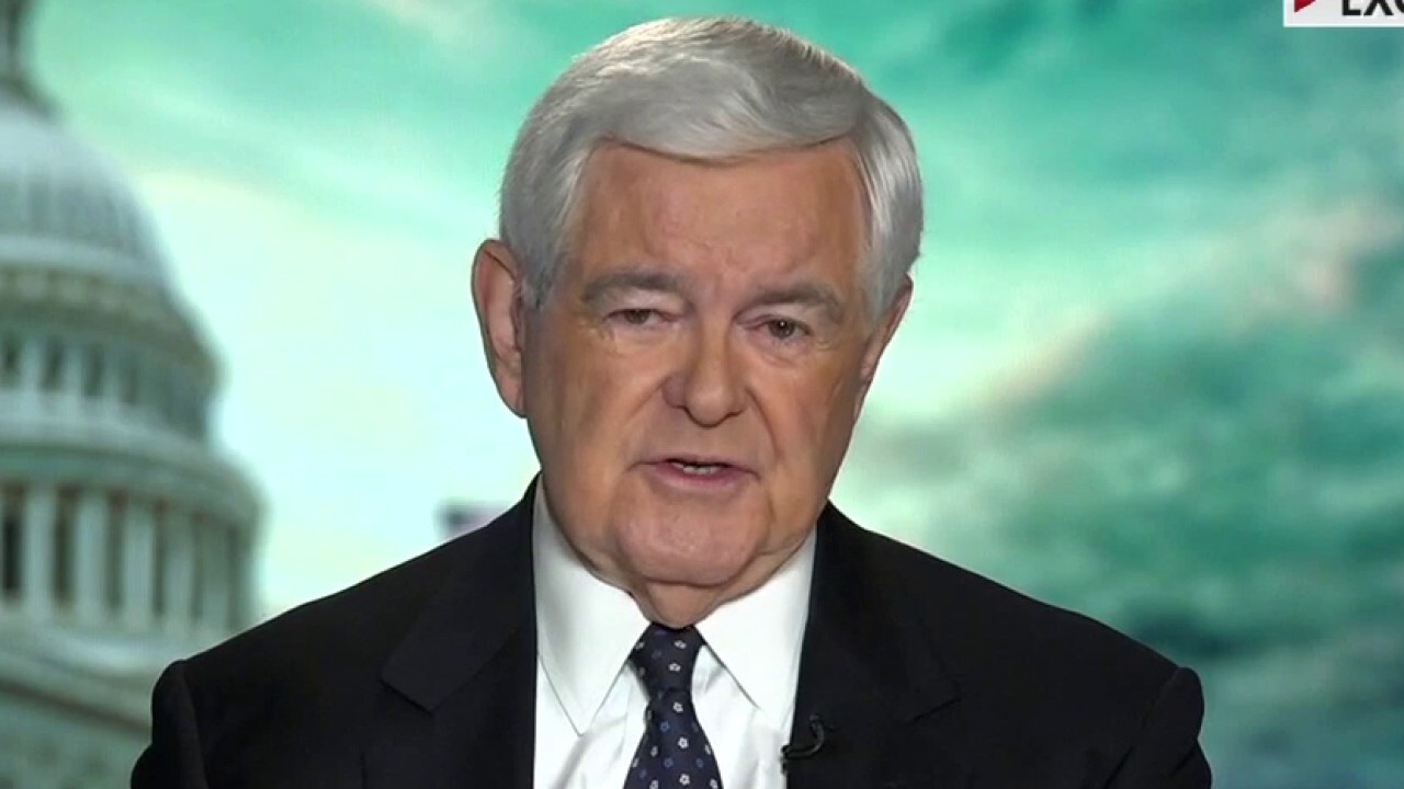 Gingrich: Gap 'widening' between Biden administration and American people