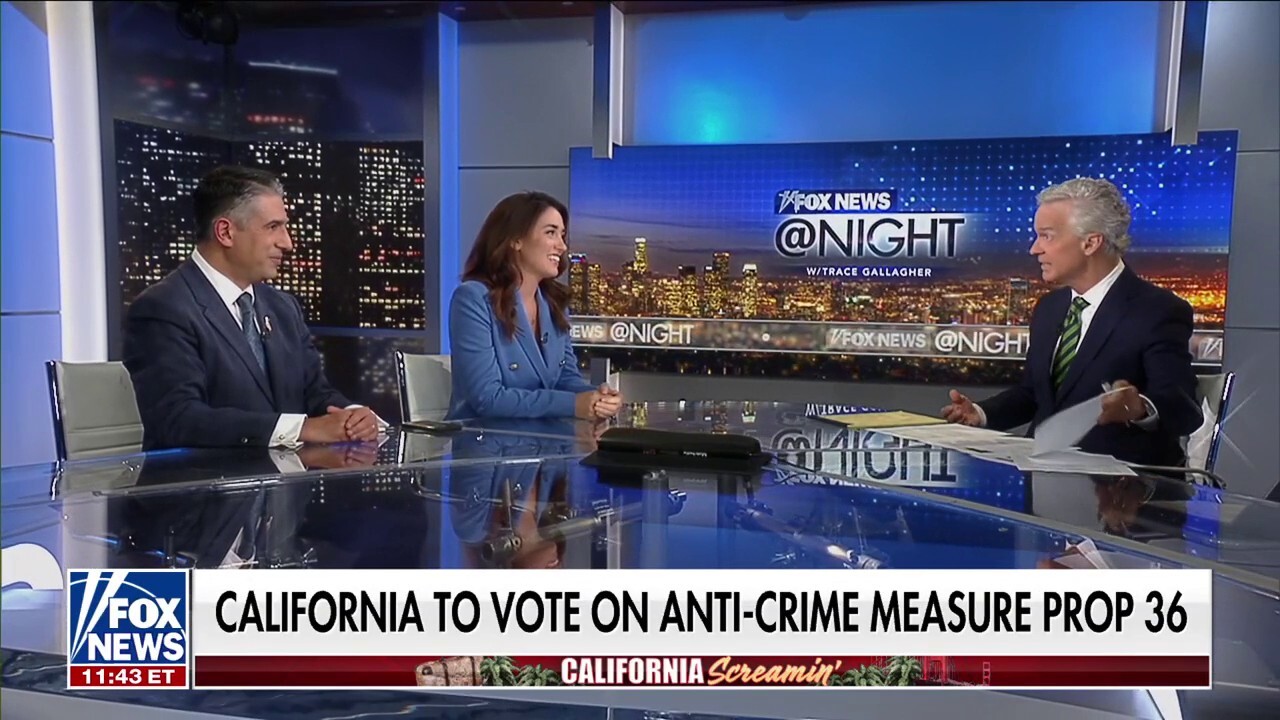 'Fox News @ Night' panelists Dr. Houman Hemmati and Julie Hamill discuss transgender policies and how Californians could vote on anti-crime measure Prop 36.