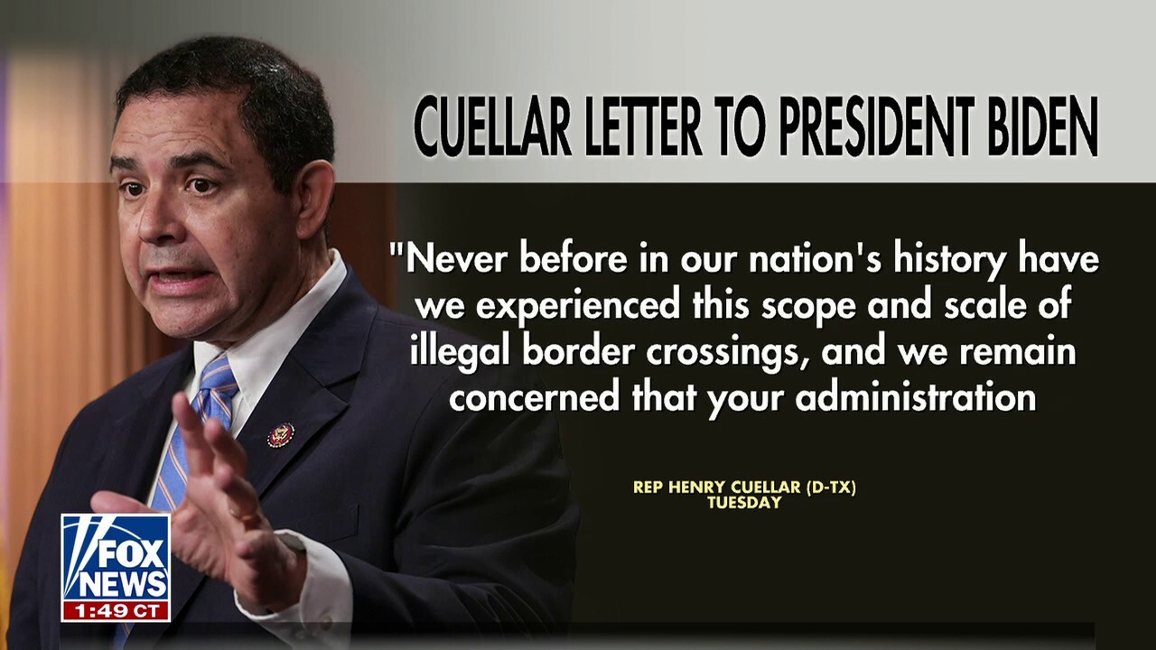 Rep. Henry Cuellar warns Biden's 'inaction' risks 'complete loss' of control at the border