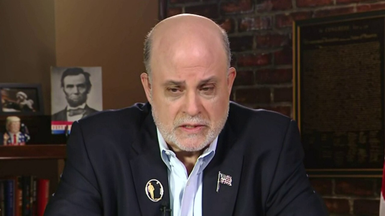 The media's just a reflection of the Democratic Party: Levin