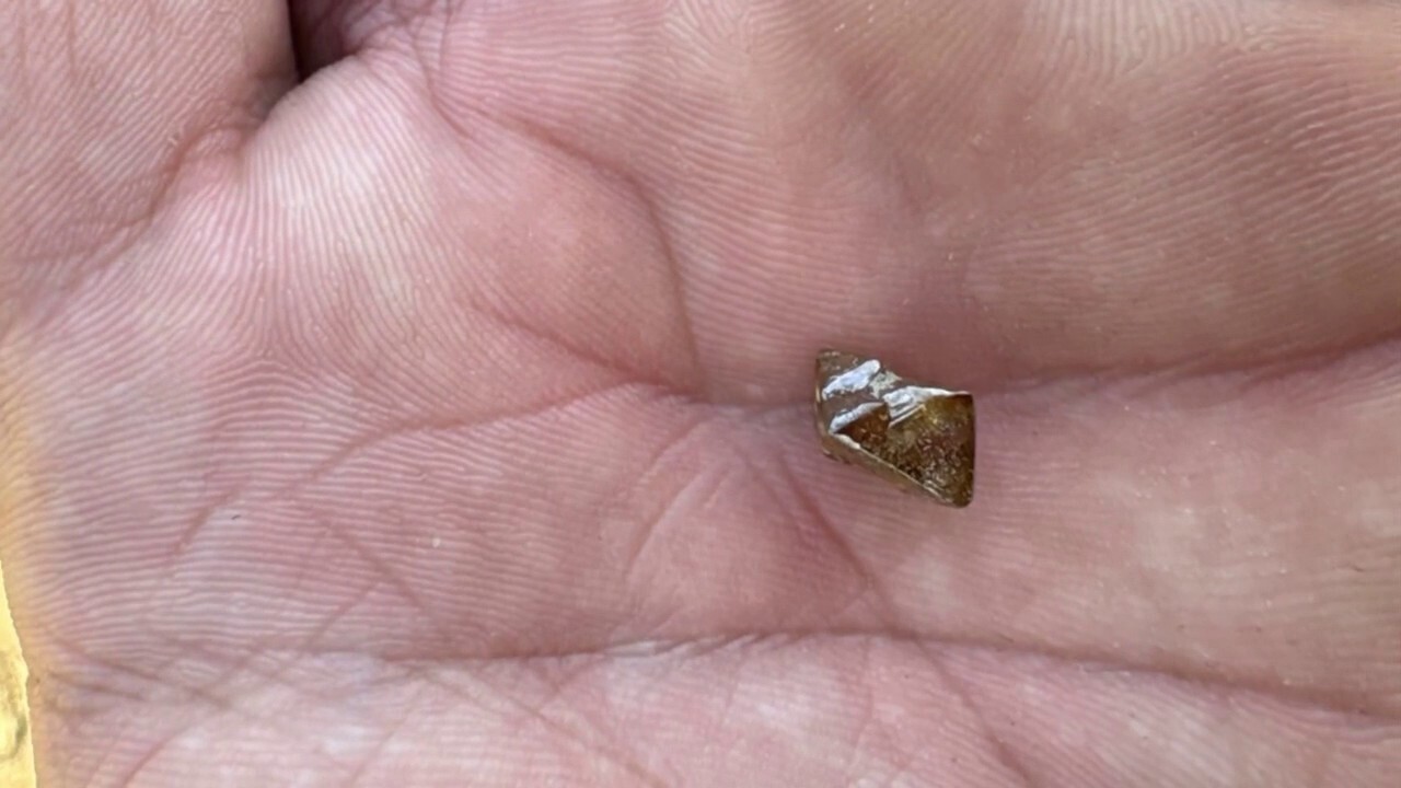 Minnesota man unearths precious diamond at Crater of Diamonds State Park in Arkansas
