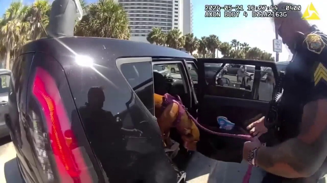 Жена от Нешвил беше арестувана, след като полицията във Флорида спаси кучето й от гореща кола, паркирана на плажа