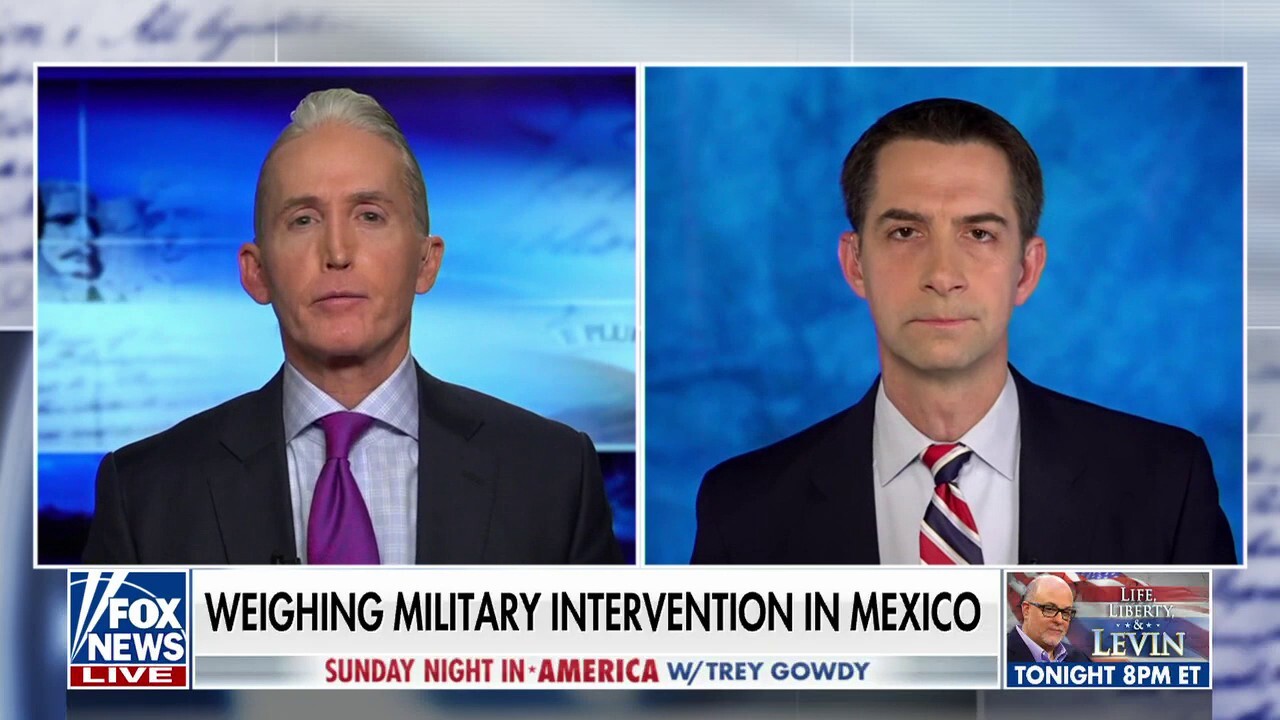 If the Mexican government doesn't want to help us stop the cartels, so be it: Tom Cotton