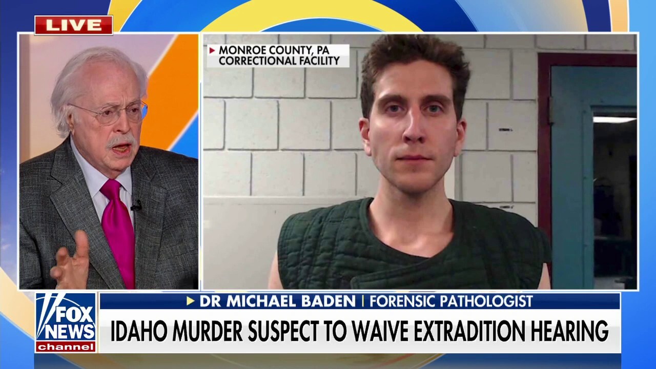 Bryan Kohberger's lawyers could set stage for insanity defense: Dr. Michael Baden