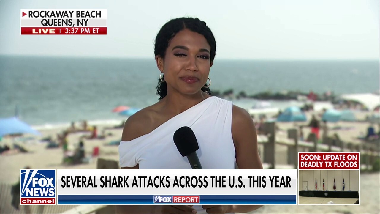 2 shark sightings make headlines at Rockaway Beach
