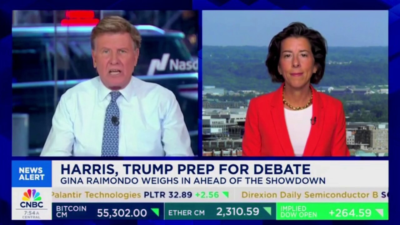 Harris surrogate dismisses CNBC host after he claims VP has been 'impossible to pin down'