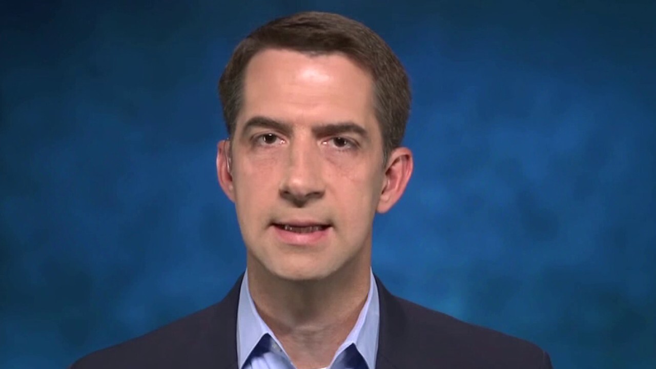 Tom Cotton: Cannot indoctrinate cadets to believe military is racist