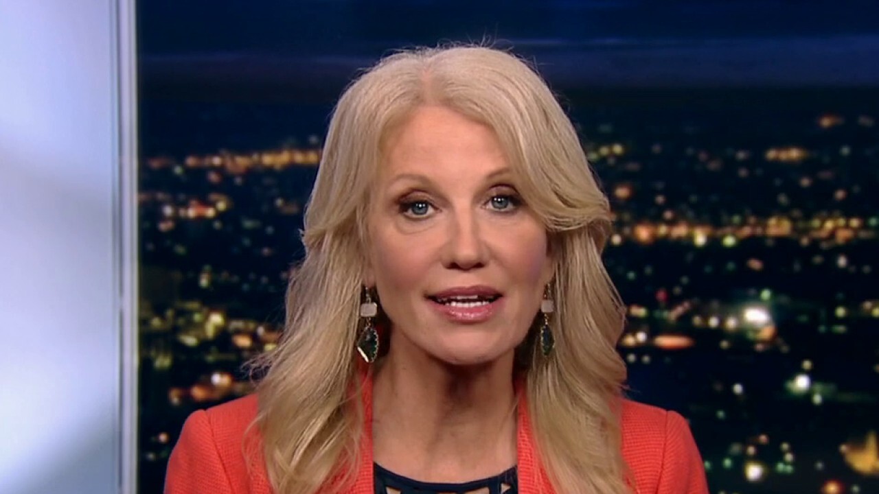 Kellyanne Conway predicts 'not a single Republican' incumbent will lose House or Senate