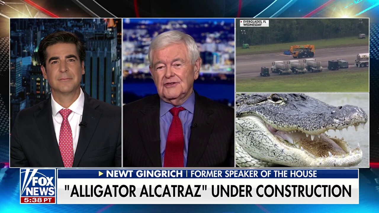 Newt Gingrich: Trump's 'decisive breakthroughs' drive the Left crazy