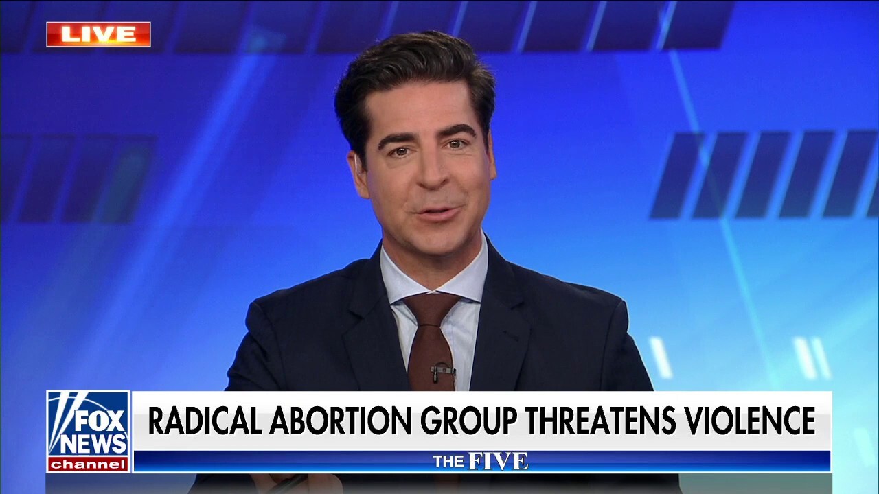 'Left-wing violence is just an idea': Watters