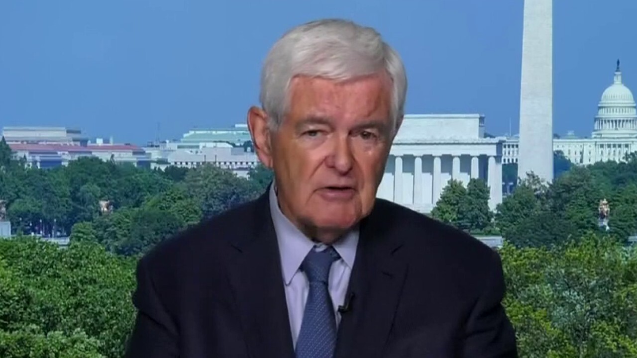 Gingrich: Biden presidency so far 'just the opening' of a nightmare