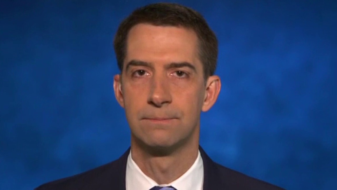 Rep. Tom Cotton: Russia bounty intel 'selectively leaked' to help Biden campaign