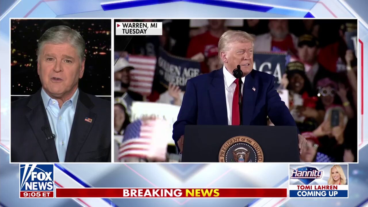 The Democratic Party has go  a 'clown show,' says Sean Hannity