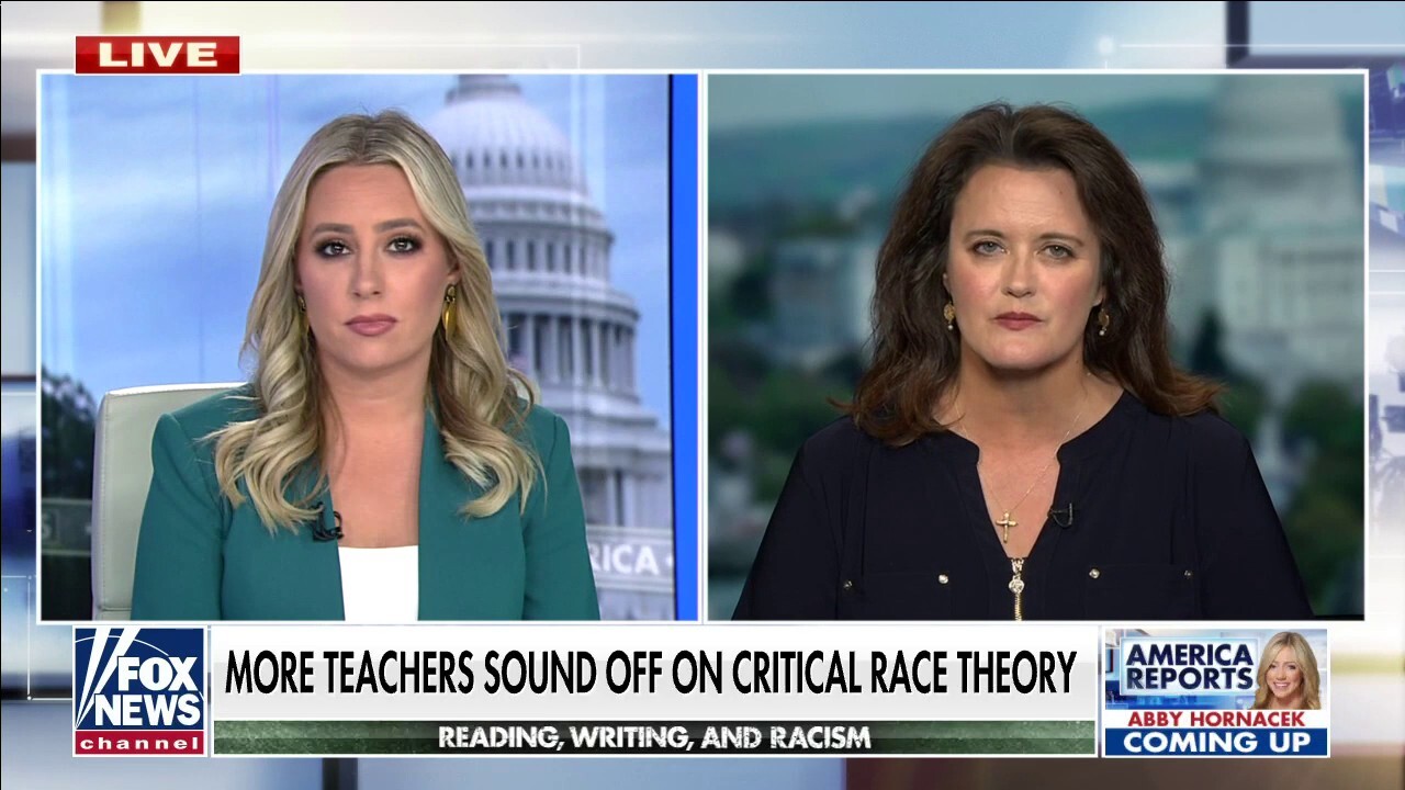 Virginia teacher says it's been 'heartbreaking' to watch effects of critical race theory on kids