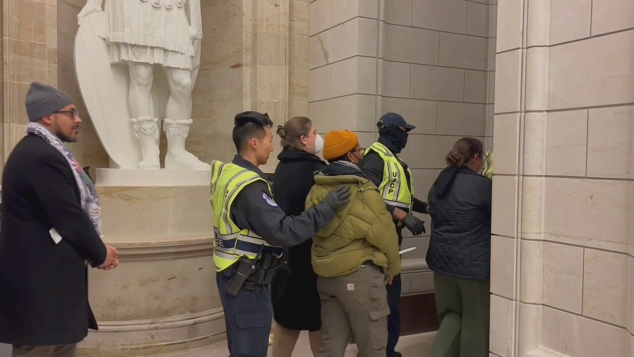 60 anti-Israel protesters arrested on Capitol Hill