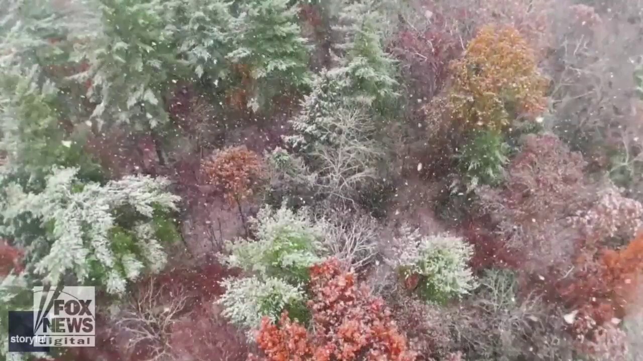 Mesmerizing! Massachusetts photographer captures drone footage of snow falling on the autumn trees