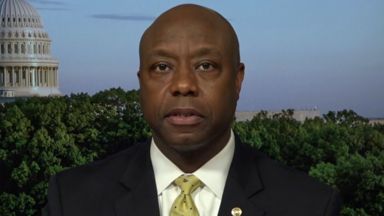 Tim Scott: 'Defund the police' is 'dumbest' thing I've heard in my life