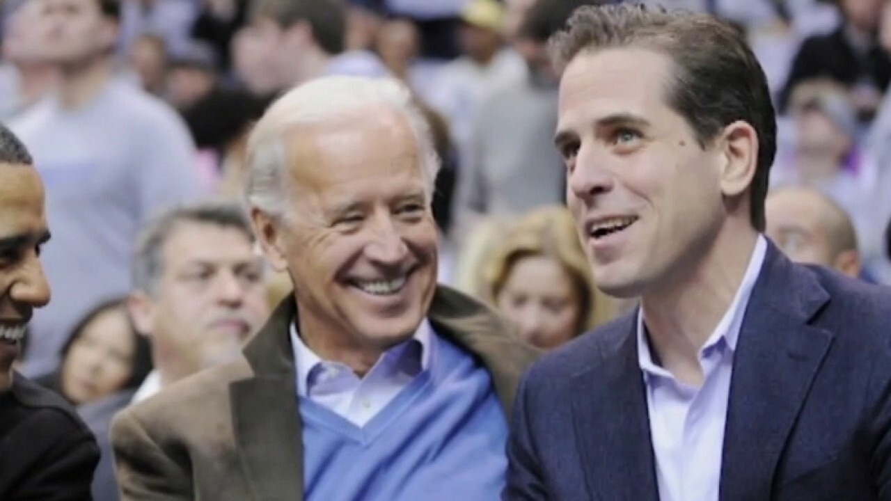 Joe Biden ‘lied to the American people’ about involvement in son’s business dealings: David Webb