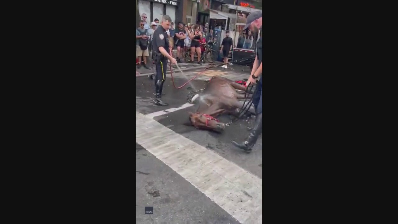 NYC carriage horse collapses in Manhattan