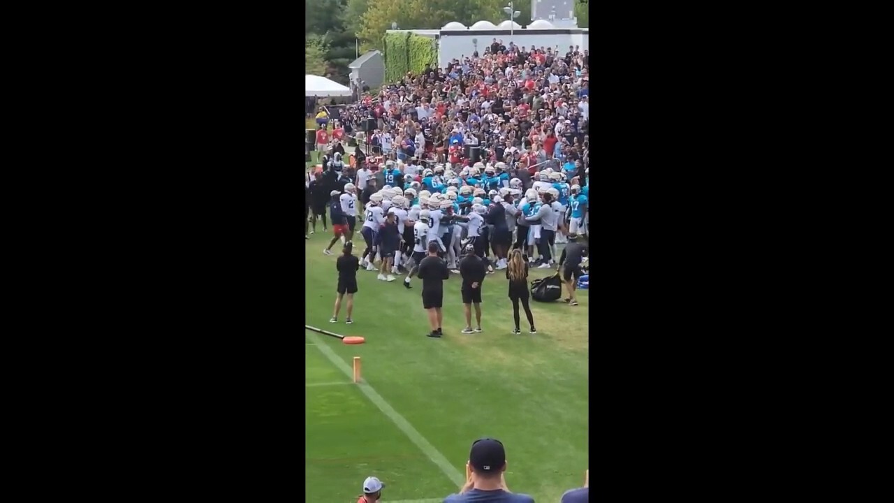 Fan injured during another fight at Panthers-Pats practice