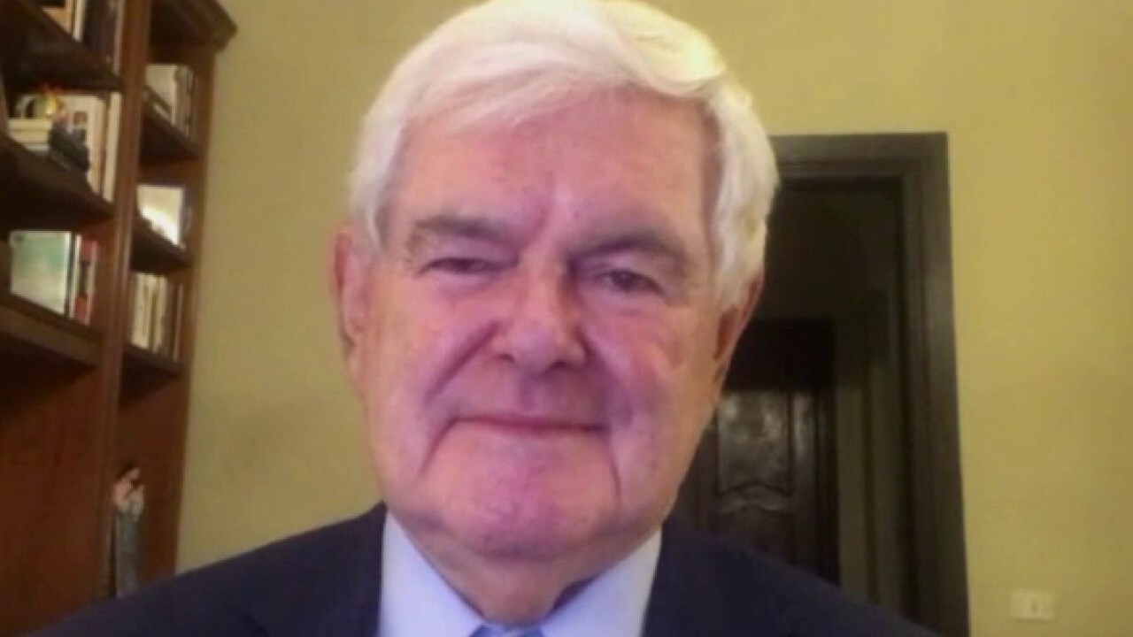 Gingrich on the state of the 2020 race
