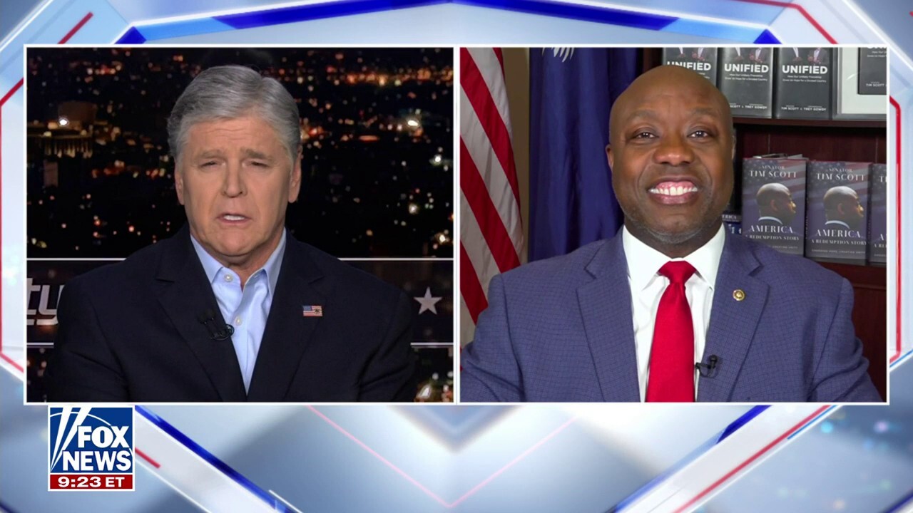 Tim Scott predicts record African American, Hispanic support for Trump in November