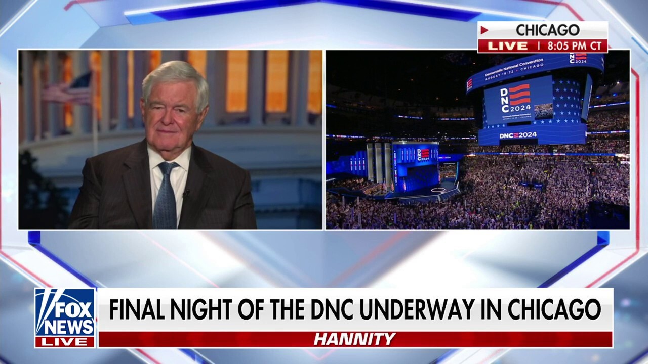  I thought Harris' strategy was supposed to be all personality, no policy: Newt Gingrich