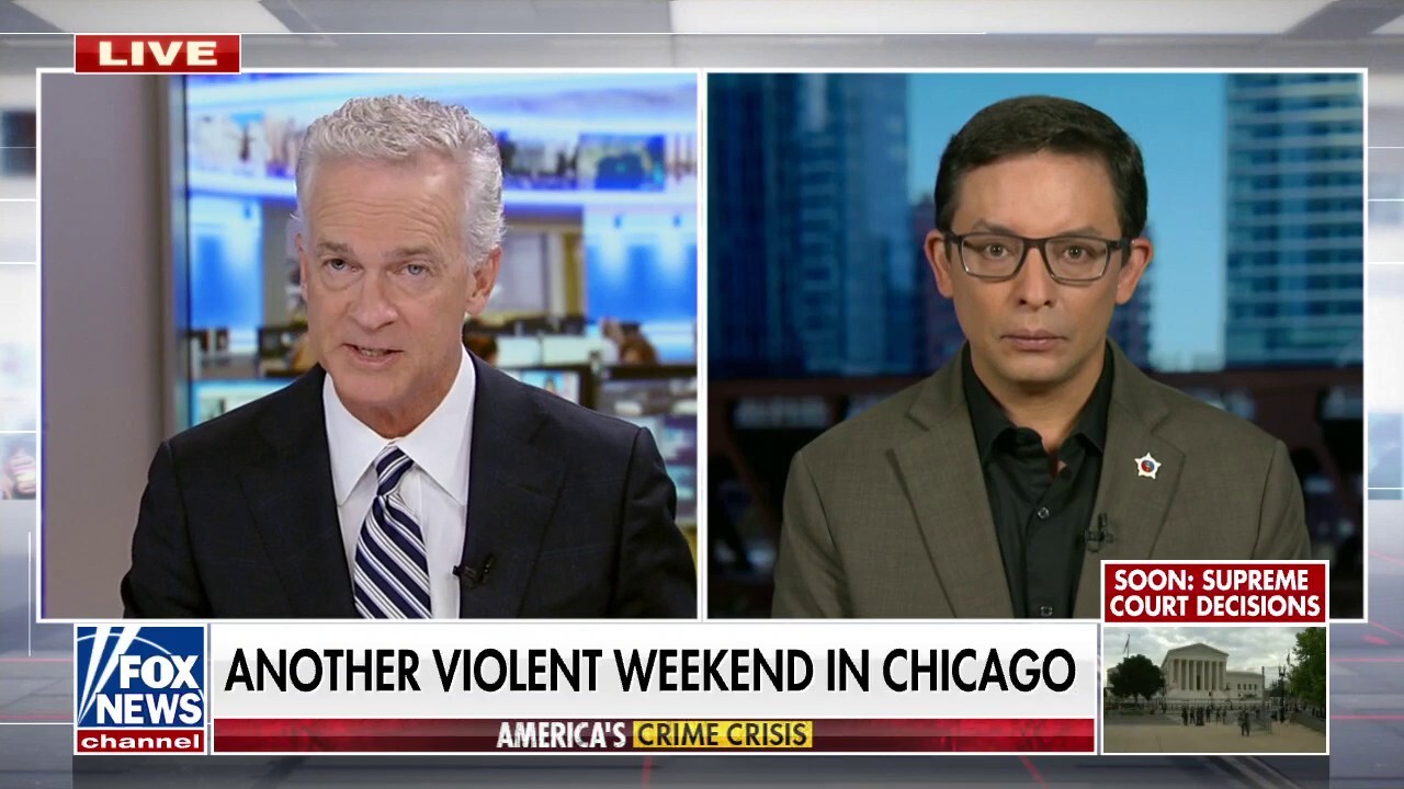 Chicago Democratic mayoral candidate rips Lori Lightfoot on surging crime: 'Chooses to dodge, deflect, blame'