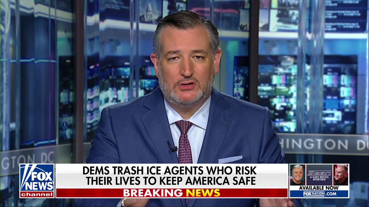 Sen. Ted Cruz, R-Texas, discusses the rhetoric from the Democratic Party regarding ICE agents on ‘Hannity.’