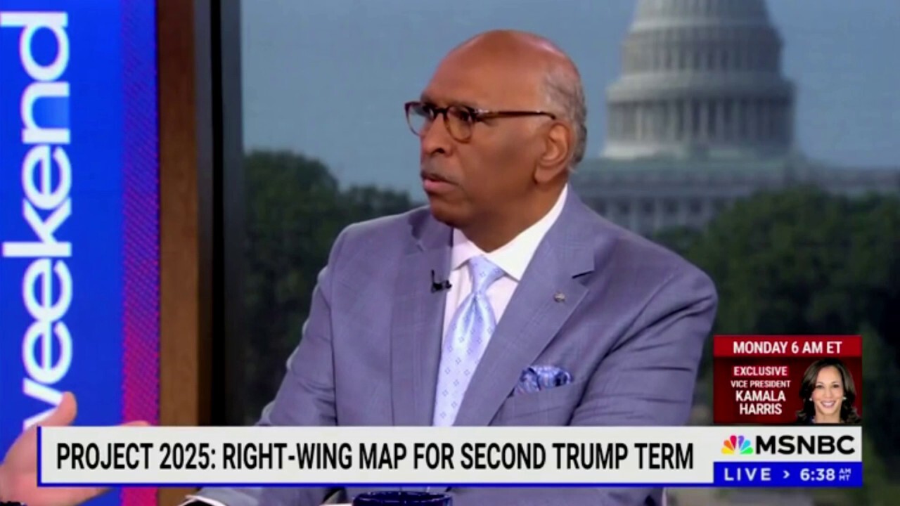 MSNBC analyst Michael Steele shrugs off murder of girl during immigration debate: 'That's one out of 11 million'