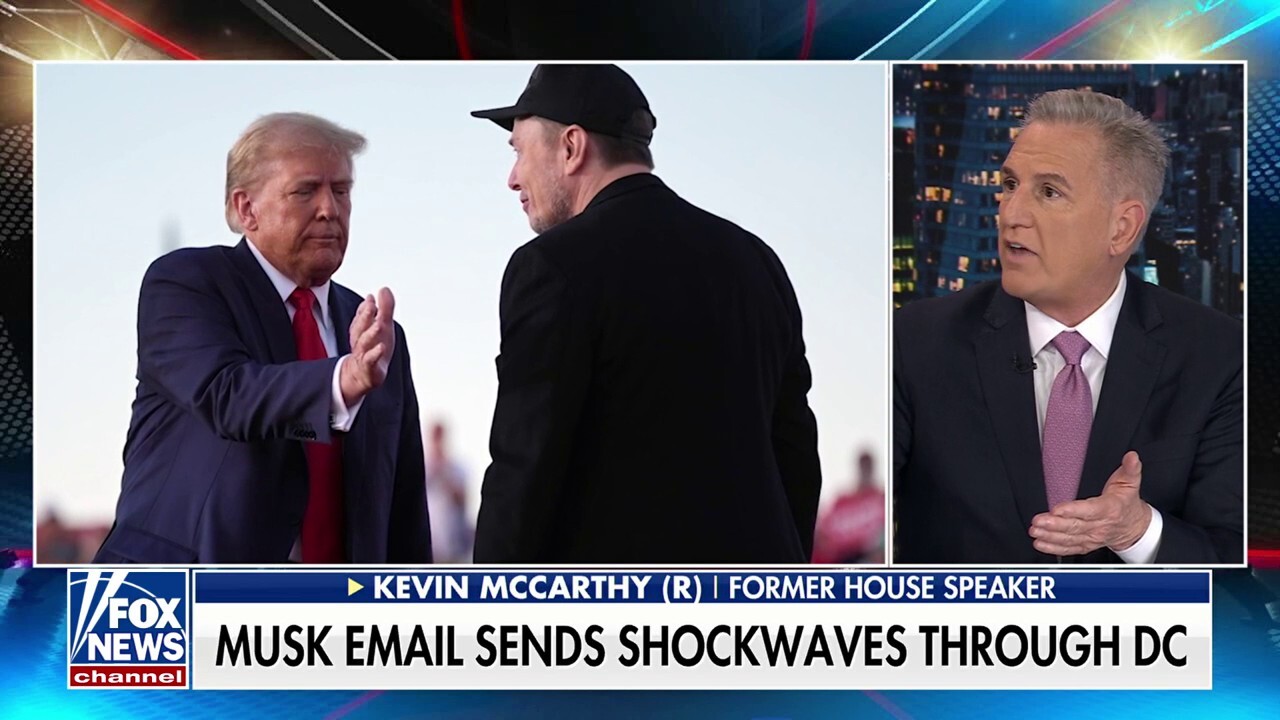 Kevin McCarthy on Musk email: He is taking 'accountability' for taxpayer money