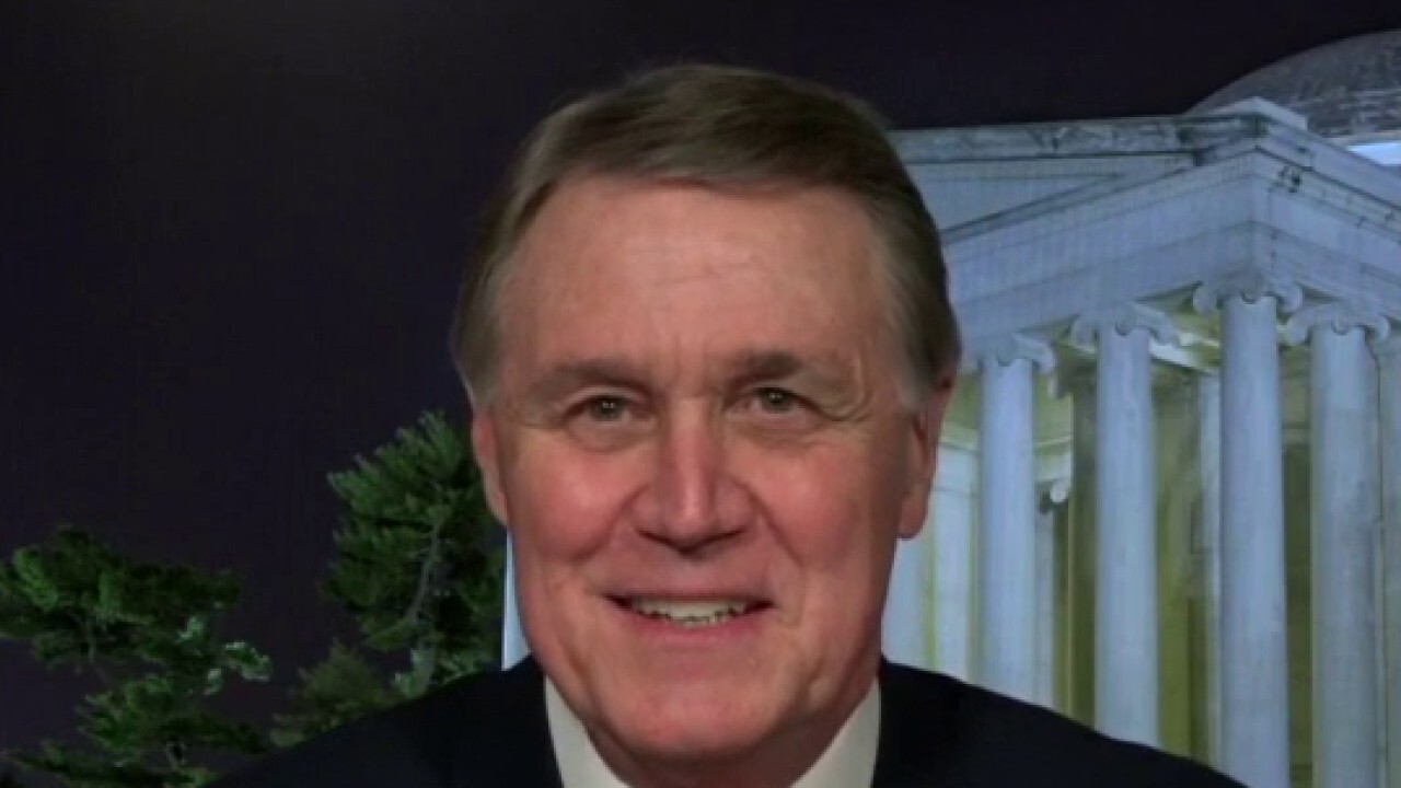 Sen. David Perdue: Georgia runoff elections are 'fight of our life'