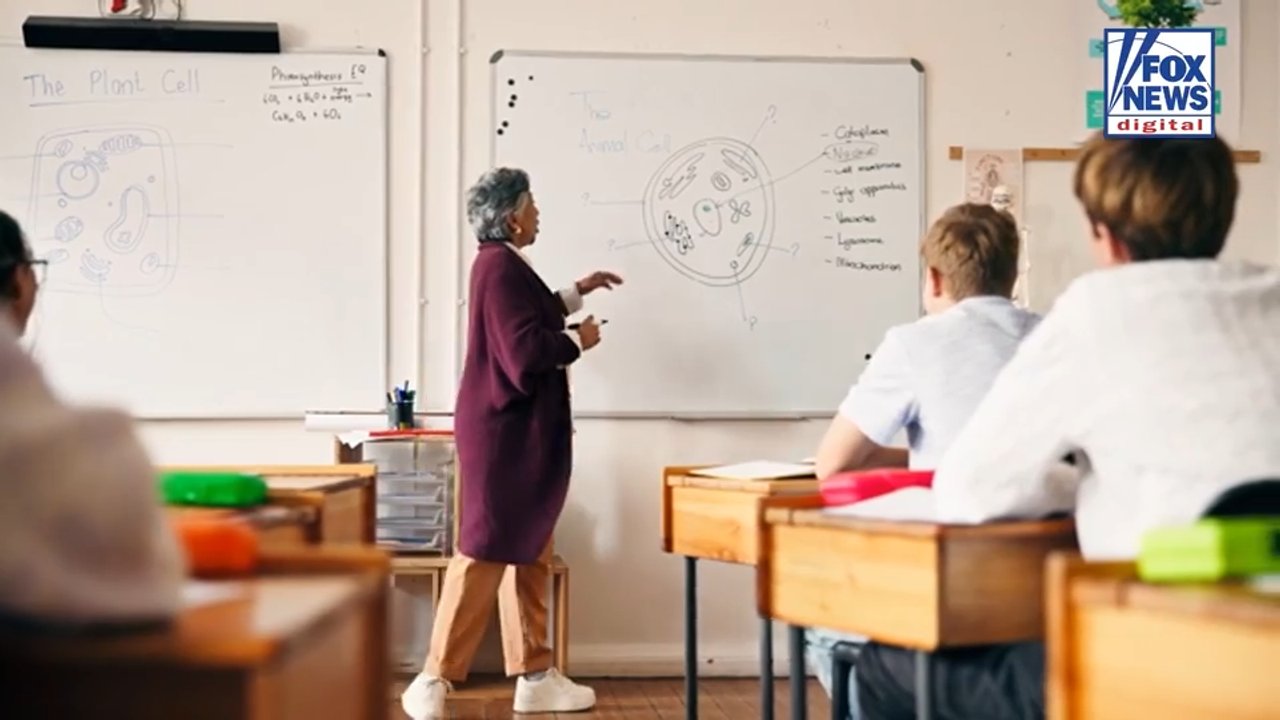 Department of Education Secretary McMahon says US needs a 'reset' after $3 trillion in spending