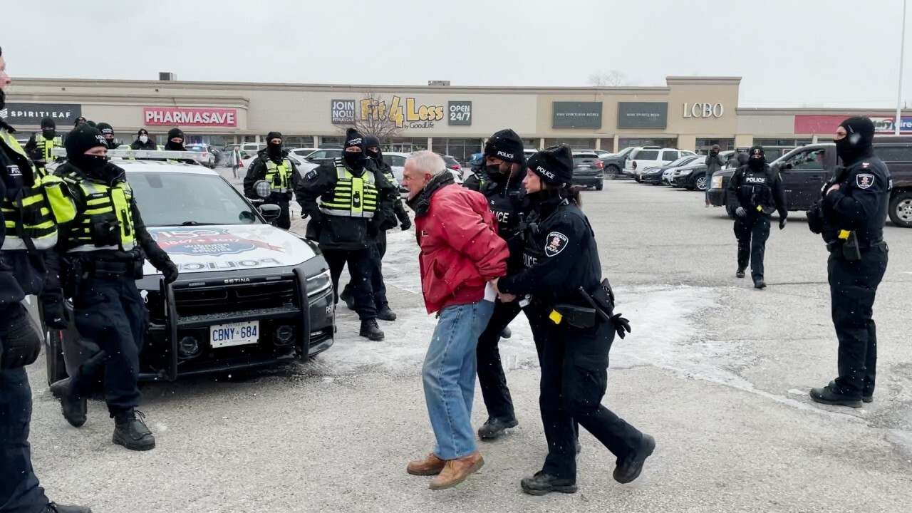 WATCH NOW: 'This is Canada it's supposed to be a free country', bridge blockade protesters speak out after police move in